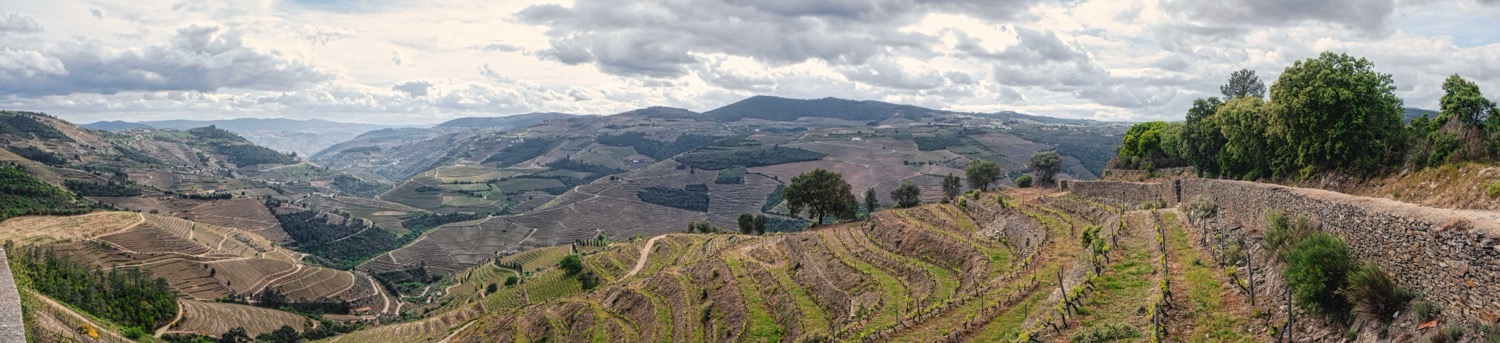 20230413 161005 V1R0 Wineries Douro