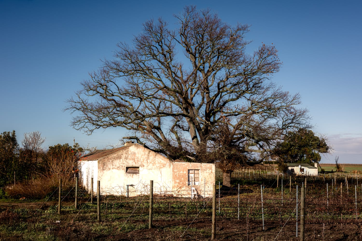 House between the vines - Stellenbosch